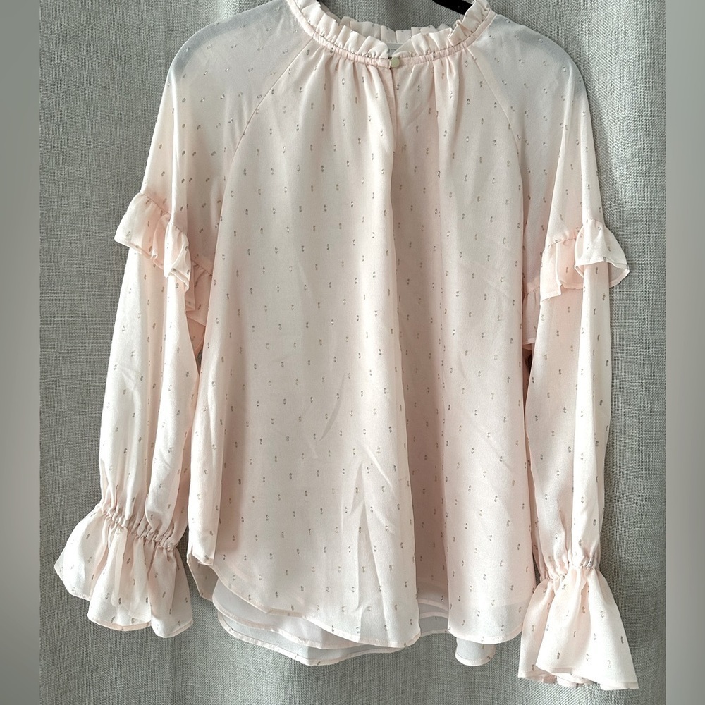 LOFT Light Pink Long Sleeve Ruffle Blouse with Rose Gold Ticking Pattern Small